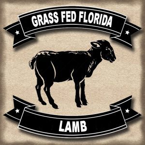 Grass Fed Florida Lamb